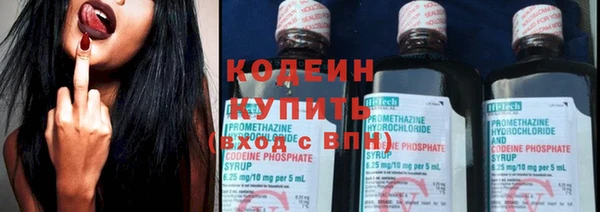 прущие грибы Покачи