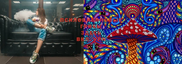прущие грибы Покачи