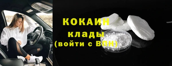 прущие грибы Покачи