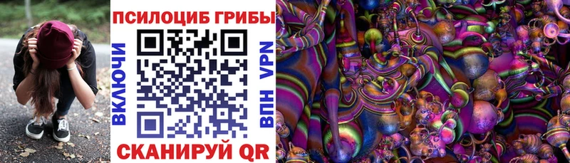 Псилоцибиновые грибы Magic Shrooms  Зеленогорск 